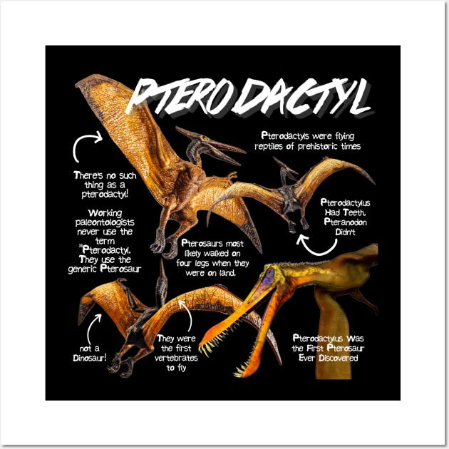 Pterodactyl Fun Facts Wall Art by Animal Facts and Trivias